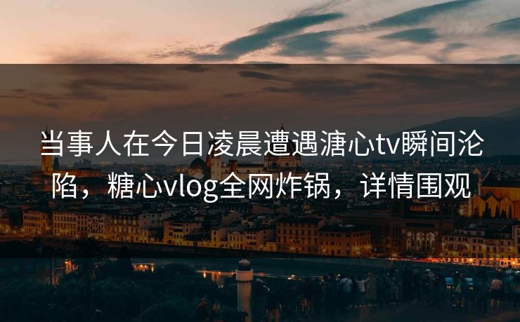 当事人在今日凌晨遭遇溏心tv瞬间沦陷，糖心vlog全网炸锅，详情围观