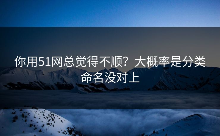 你用51网总觉得不顺？大概率是分类命名没对上