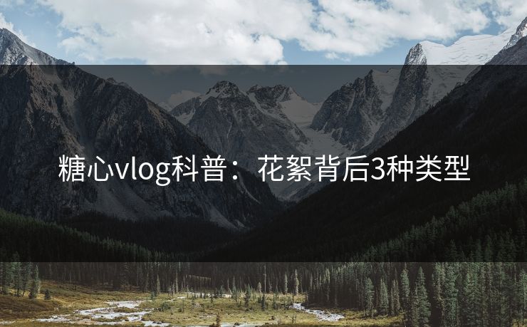 糖心vlog科普：花絮背后3种类型